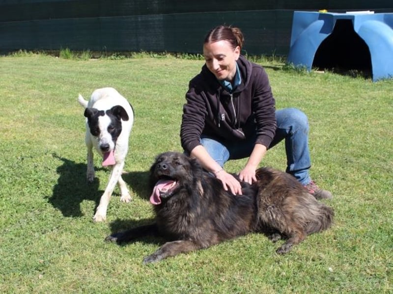 Nayra - unsere Süße