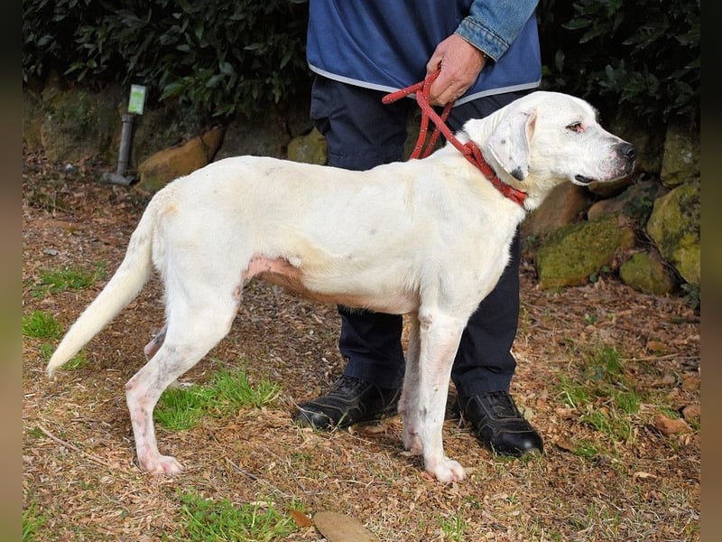 Olindina - Wie gut du bist, das zeigt sich an schlechten Tagen