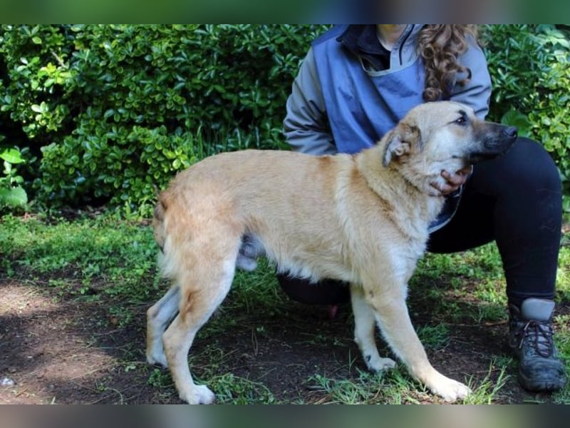 Zeebo - Z wie Zuckersüß und Zauberhaft