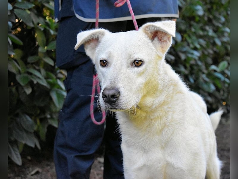 Dafnielle - Zukunft gesucht