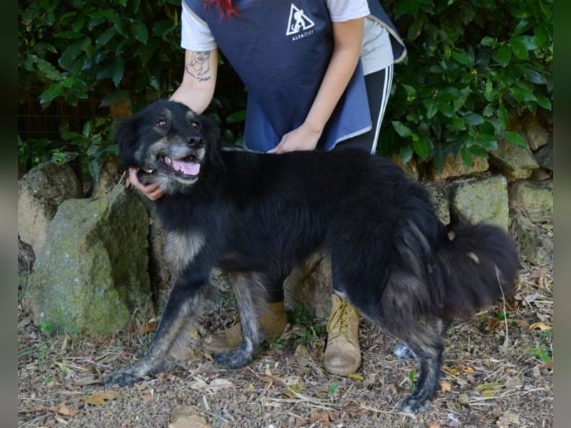 Pinot - "Unmöglich!" sagte die Tatsache... Pinot - "Unmöglich!" sagte die Tatsache...