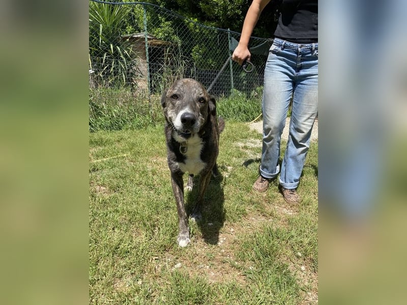 Lola - Das Herz hat seine Gründe