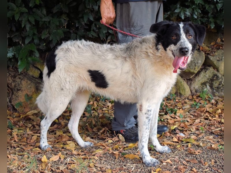 Jessie - Wer nicht neugierig ist, erfährt nichts