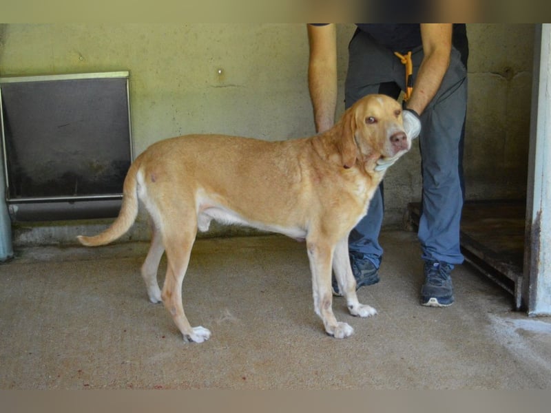 Dioneo - NOTFALL - Zeit heilt hier nichts