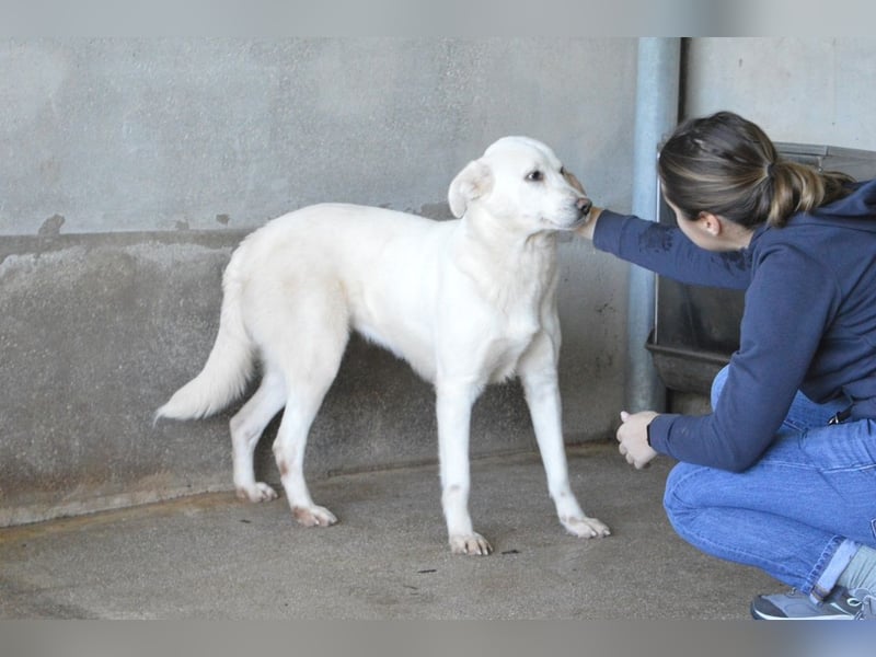 Cyra - Cyra, bald bist auch Du dran!
