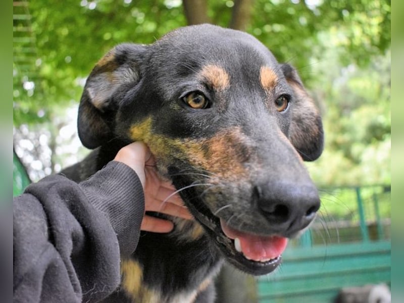 Montego - Sonne im Bauch und Brausekribbeln im Hirn