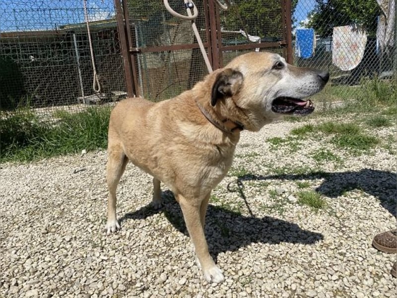 Plugh - Opa Plugh möchte die Welt - und Sie! kennenlernen