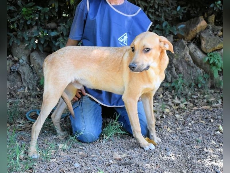 Ulbert - hat alles verloren