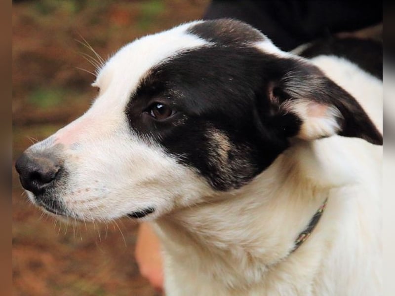 Marius - We proudly present...