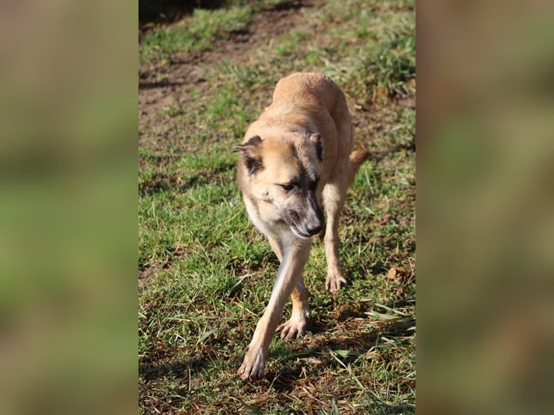 Life - Life will mehr vom Leben - und das zeigt er deutlich!