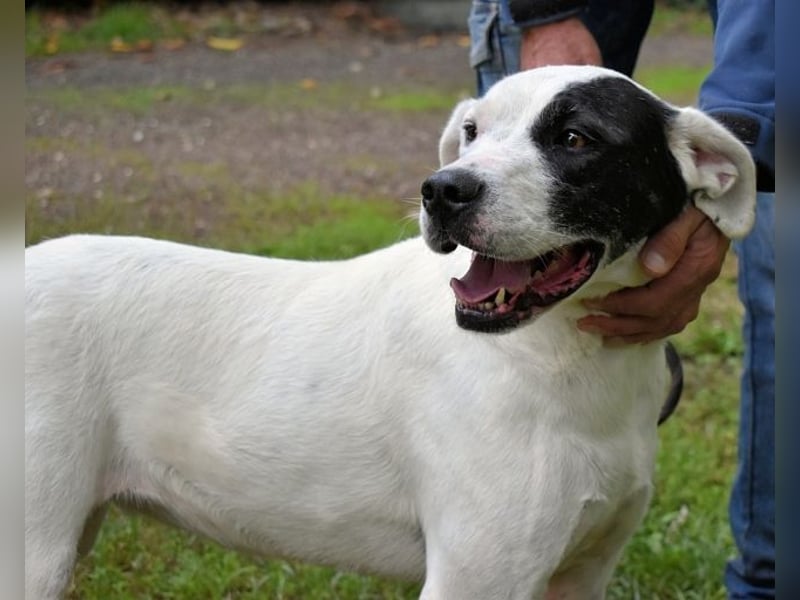 Olindina - Wie gut du bist, das zeigt sich an schlechten Tagen