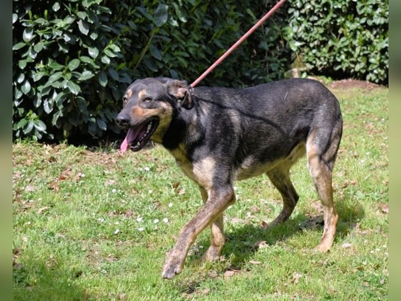 Montego - Sonne im Bauch und Brausekribbeln im Hirn