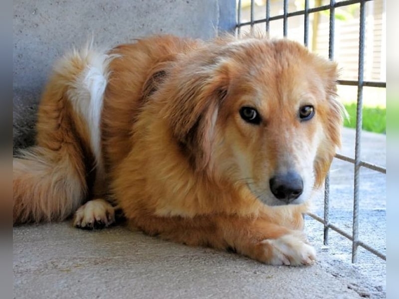 Jonathen - Die Flucht in mir