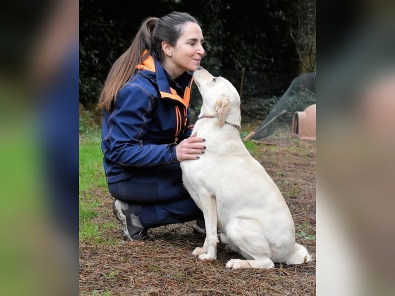 Hughie - macht ein Freundschaftsangebot