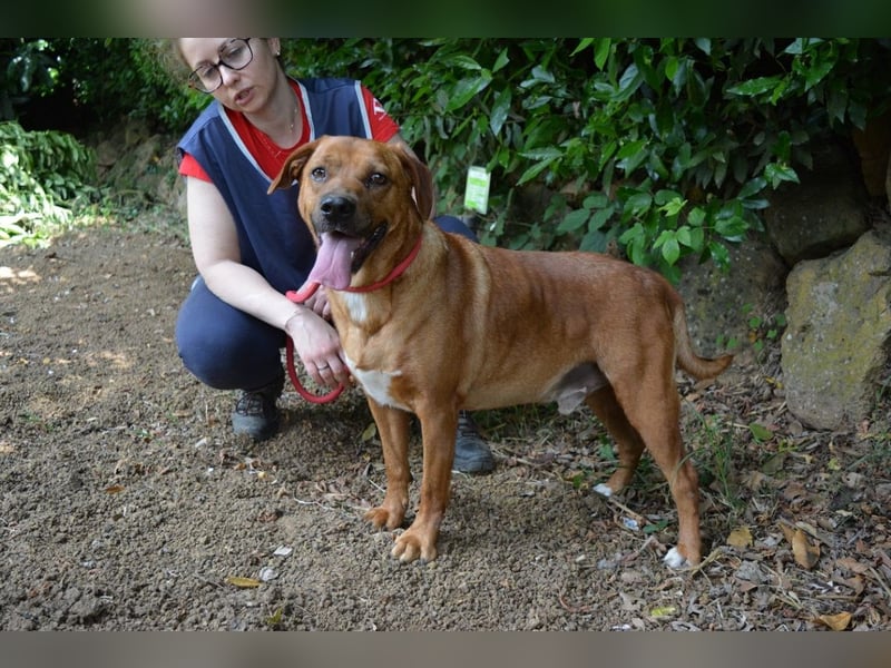 Freebie - Über Stock und Stein