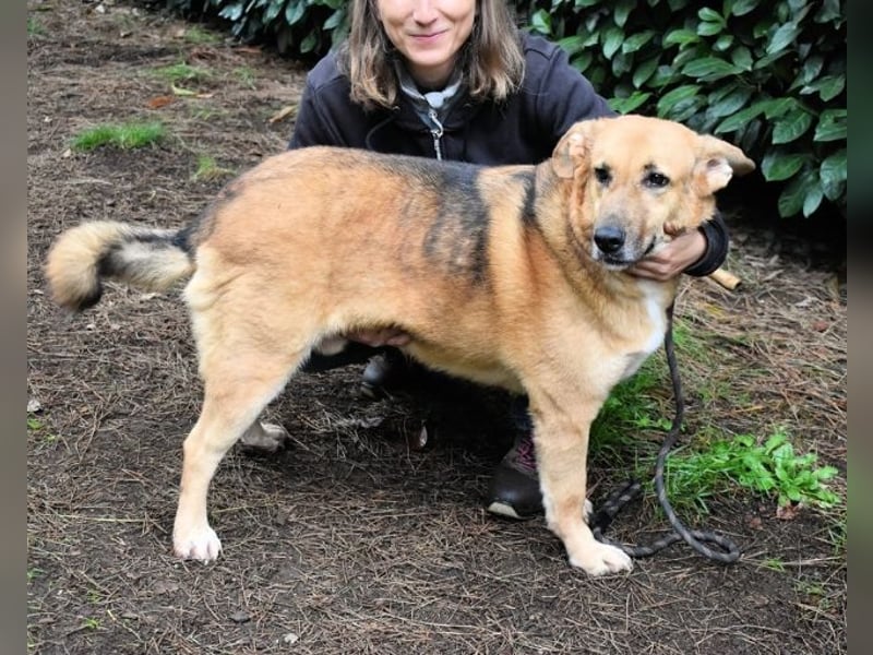 Kairo - möchte einfach nur genießen