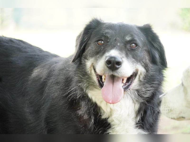 Carmine - Bereit für den Neustart