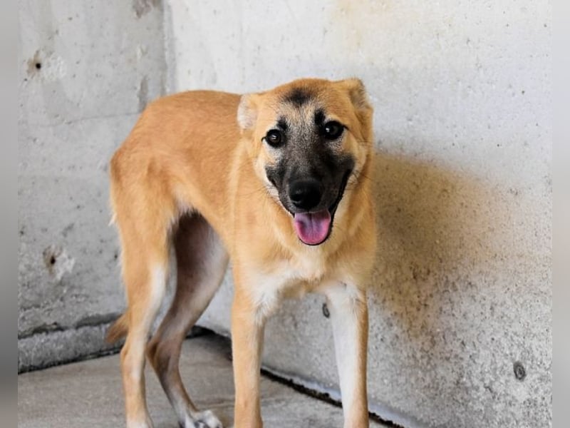Olympia - "Und wenn sie nicht weg sind....
