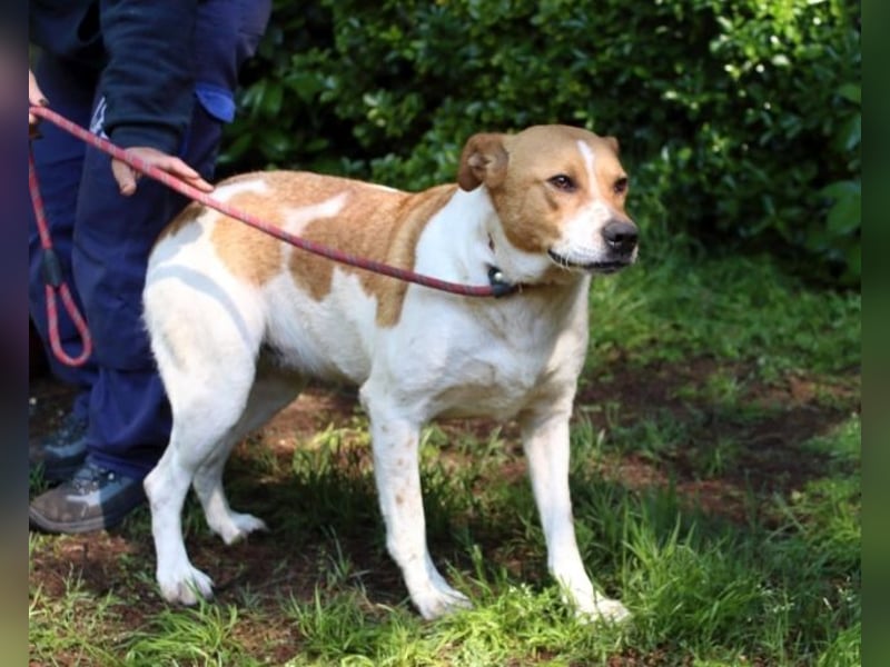 Zela - Z wie Zuckersüß und Zauberhaft