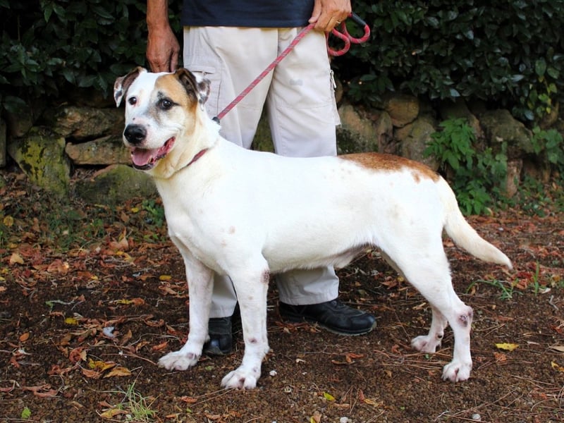 Argo - hungrig auf Leben und Er-Lebnisse