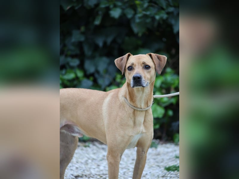 Jasper - Warten auf den einen Menschen