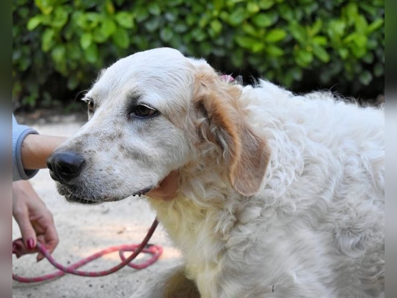 Kastore - Die Welt erkunden!