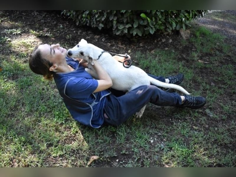 Scrubby - Ein riesiges Missverständnis!