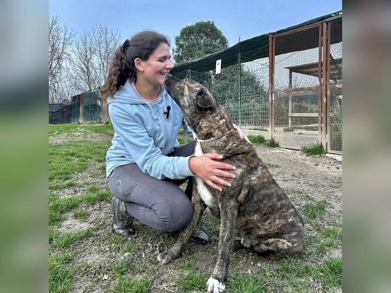 Ludwig - Nur Mädchen erlaubt
