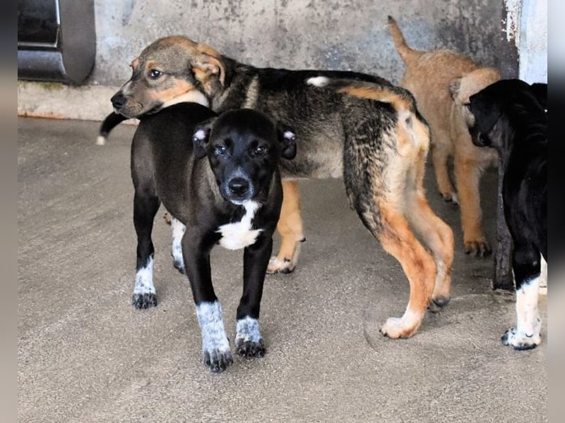 Marisca - Es soll DEIN Leben werden