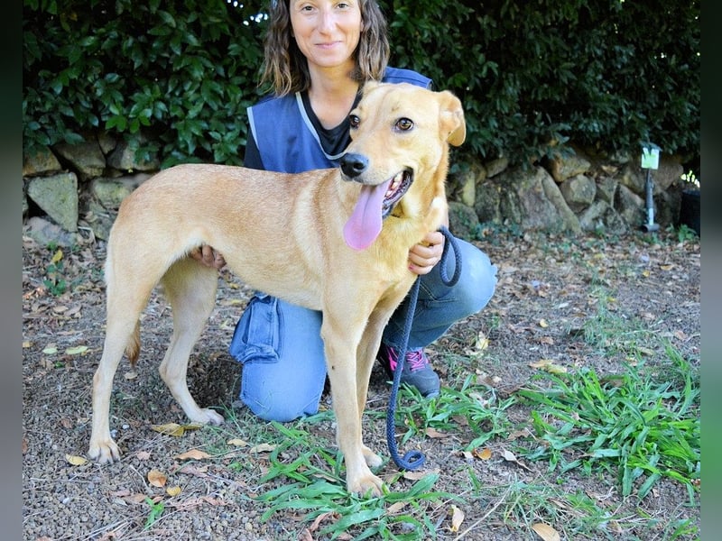 Lilyrose - als kleine Muschel ins Glück!