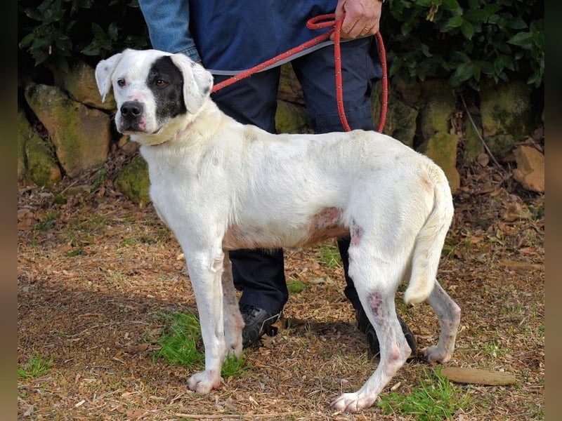 Olindina - Wie gut du bist, das zeigt sich an schlechten Tagen