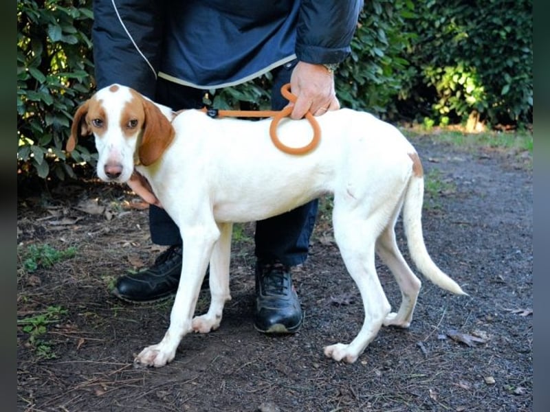 Samarie - Abenteuerlust und Kuschelzeit
