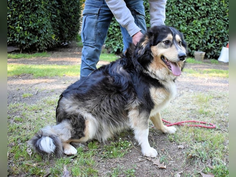 Oliverio - ohne Anklage hinter Gittern