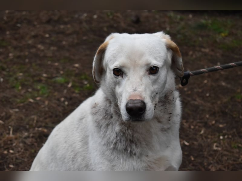 Ghemon - Notfall - Wie wenig kann ein Leben zählen?