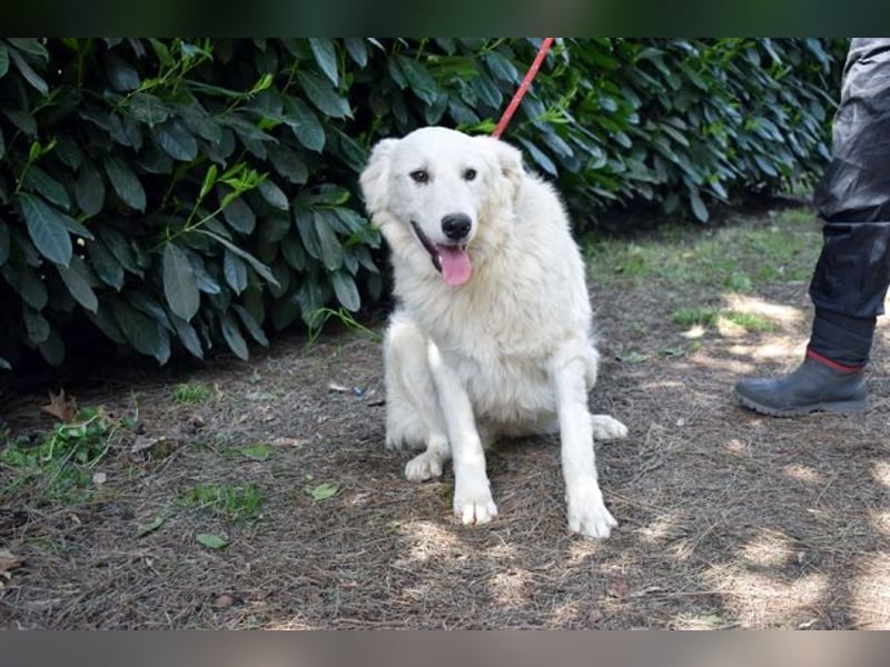 Franky - bereit für das Abenteuer Leben