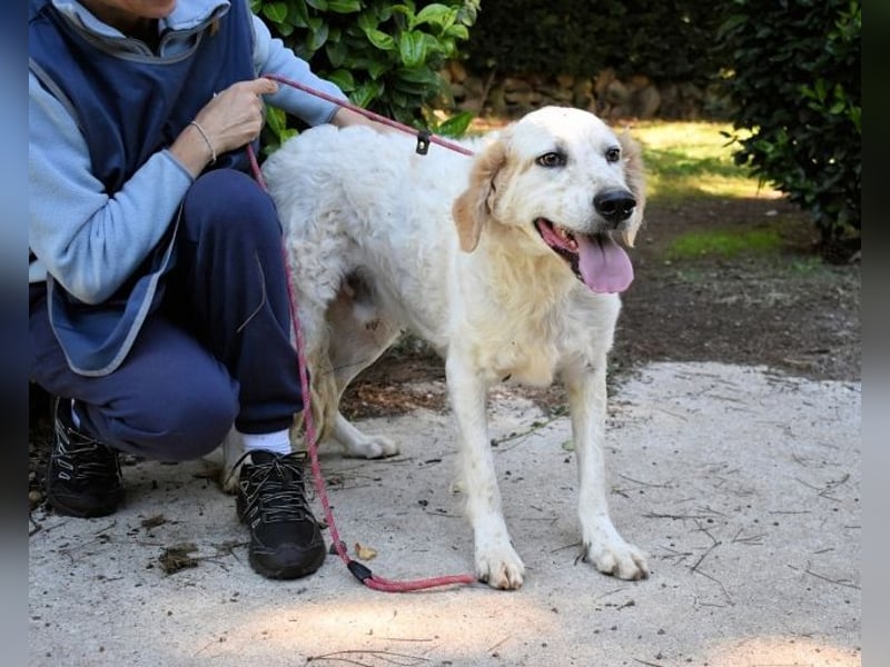 Kastore - Die Welt erkunden!