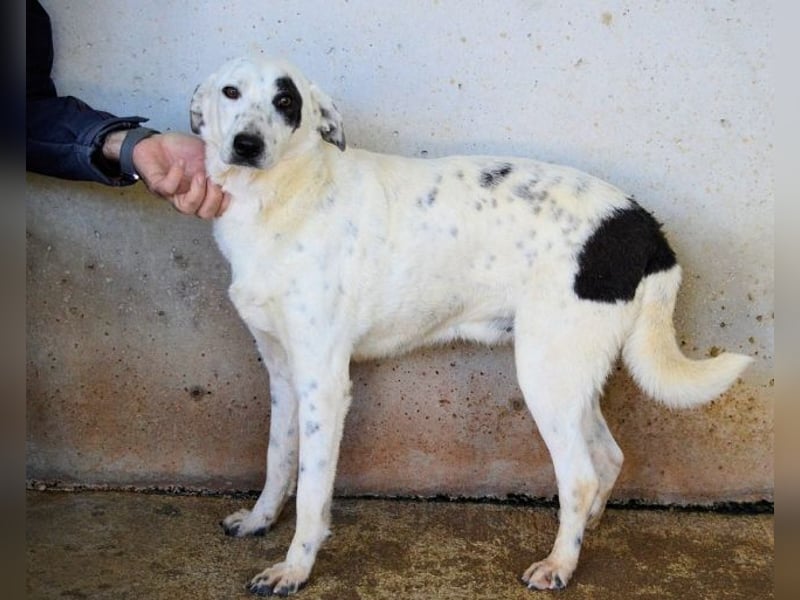 Arunny - aller guten Dinge sind drei