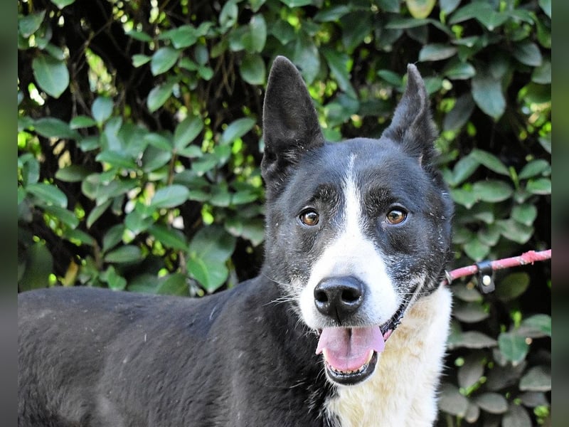 Edelmira - Das Leben in homöopathischen Dosen kennenlernen