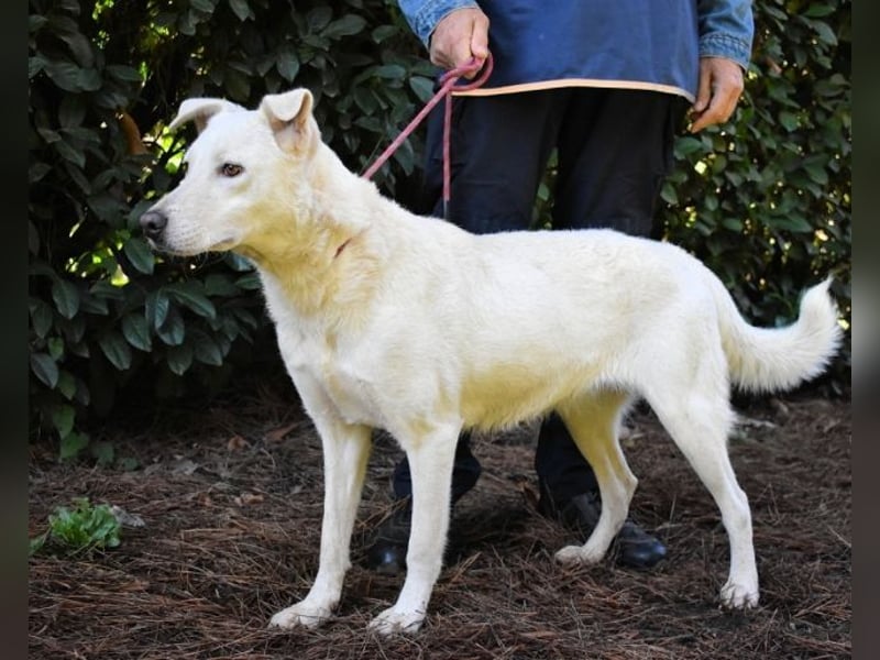 Dafnielle - Zukunft gesucht