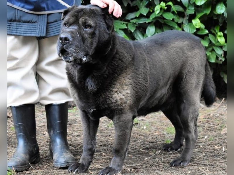 Morgan - wird hoffentlich alles besser