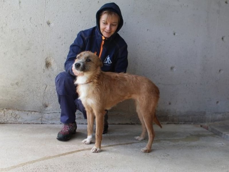 Renilde - eifrige Interviewpartnerin hat Pluspunkte gesammelt