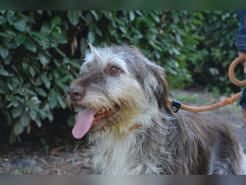 Minnie - Nach 7 Jahren Unglück endlich 7 Jahre Glück?