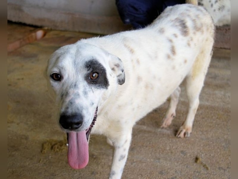 Arunny - aller guten Dinge sind drei