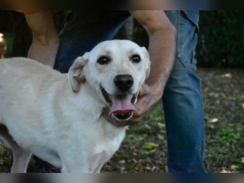 Hughie - macht ein Freundschaftsangebot