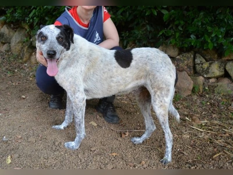 Medwin - Wo ist denn nun das wahre Leben?