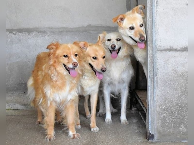 Ariana - lange sitzen sie schon da und haben es schwer