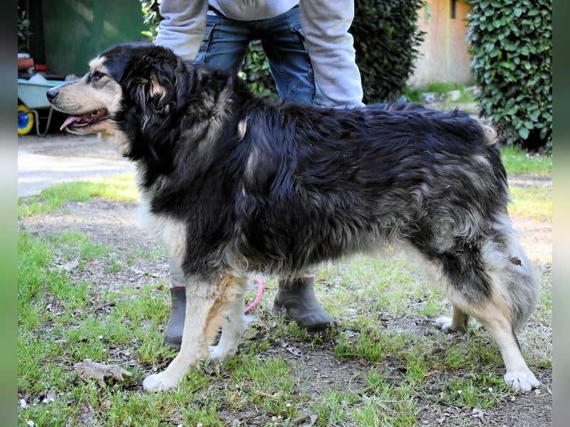 Oliverio - ohne Anklage hinter Gittern
