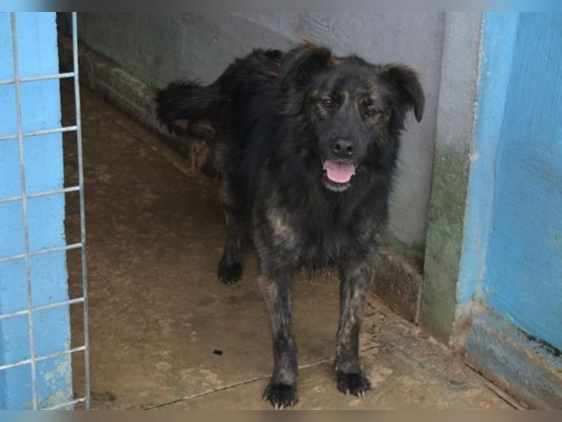 Nayra - unsere Süße