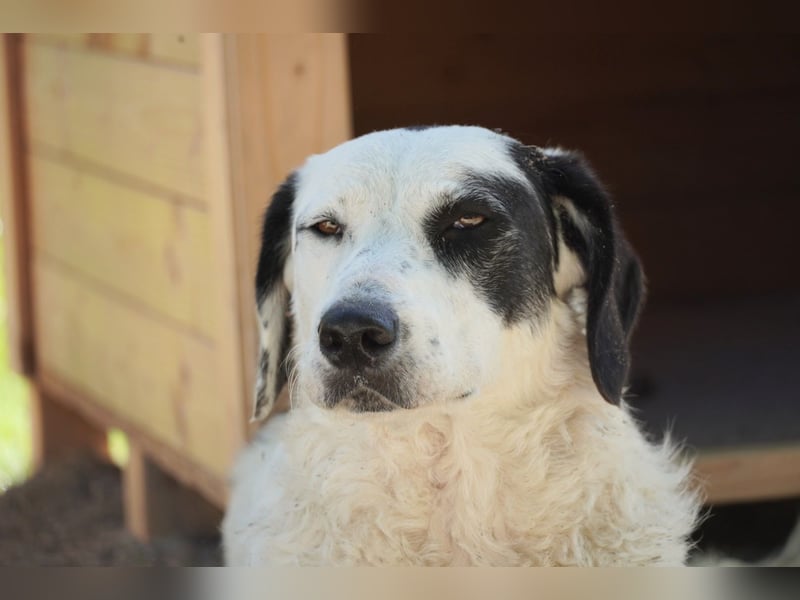 Marni - Dieses Herz hat schon zu lange gewartet