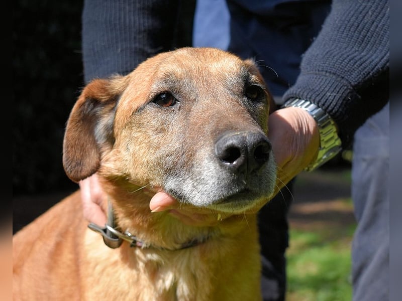 Nidal - Notfall - Was jetzt zählt